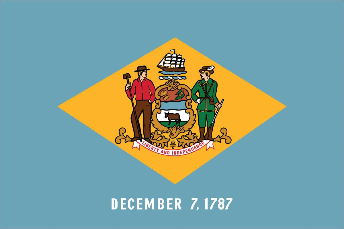 Delaware State Flag Made in USA – Heavy Duty Nylon - Image 2