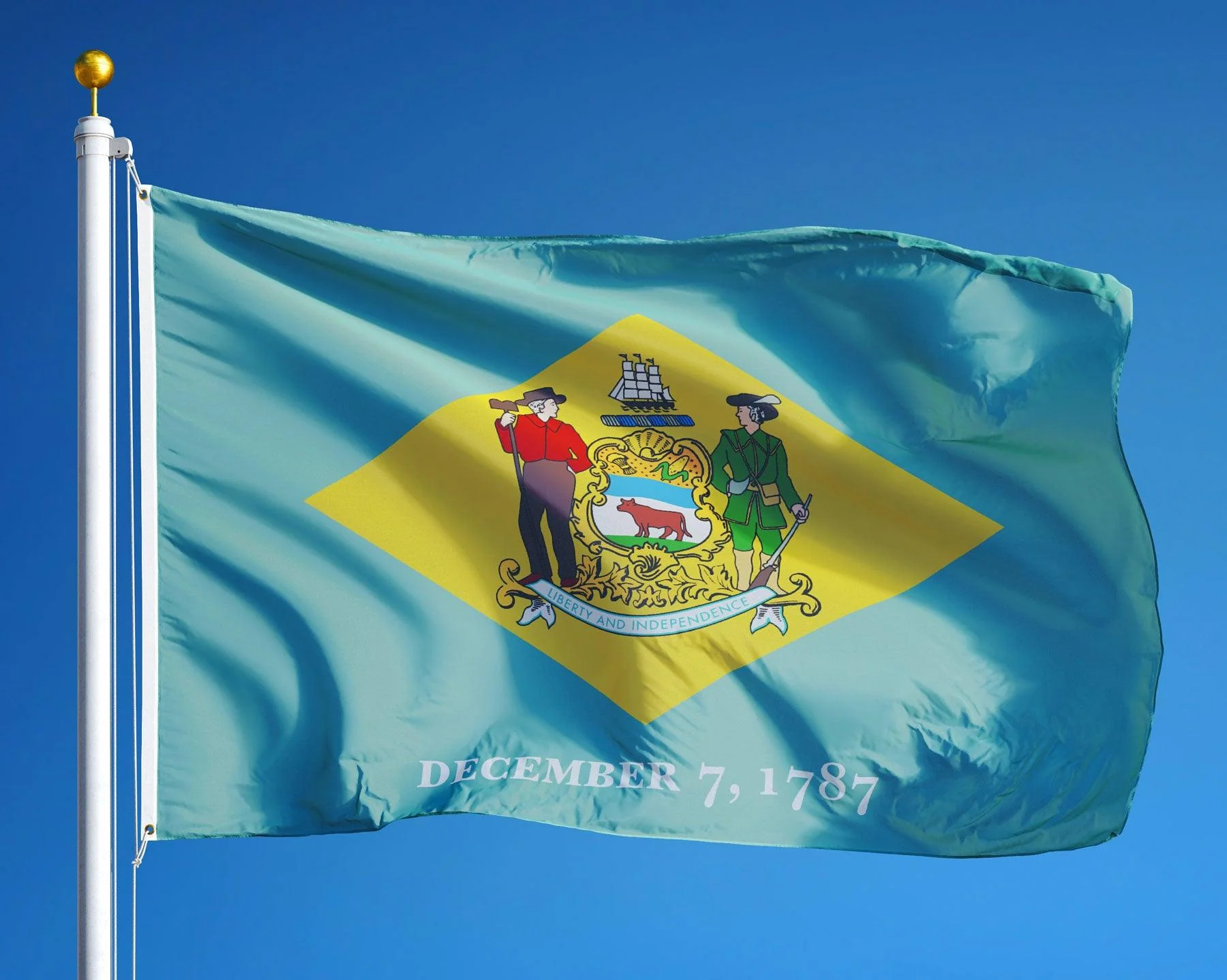 Delaware State Flag Made in USA – Heavy Duty Nylon - Image 3