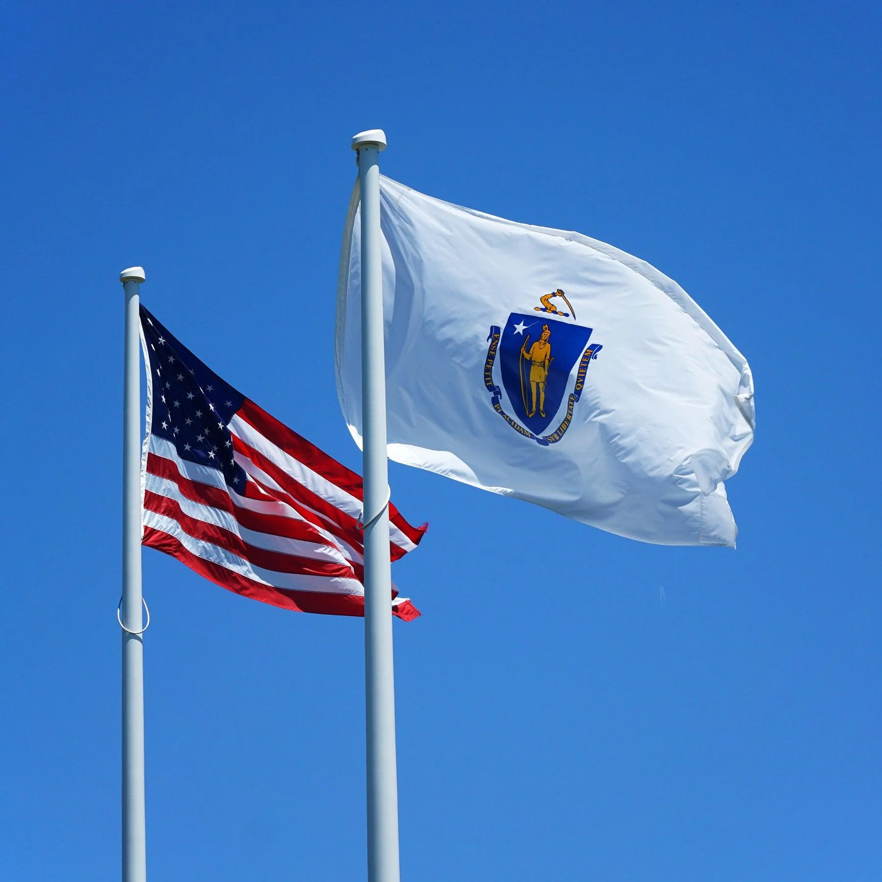 Massachusetts State Flag Made in USA – Heavy Duty Nylon - Image 3