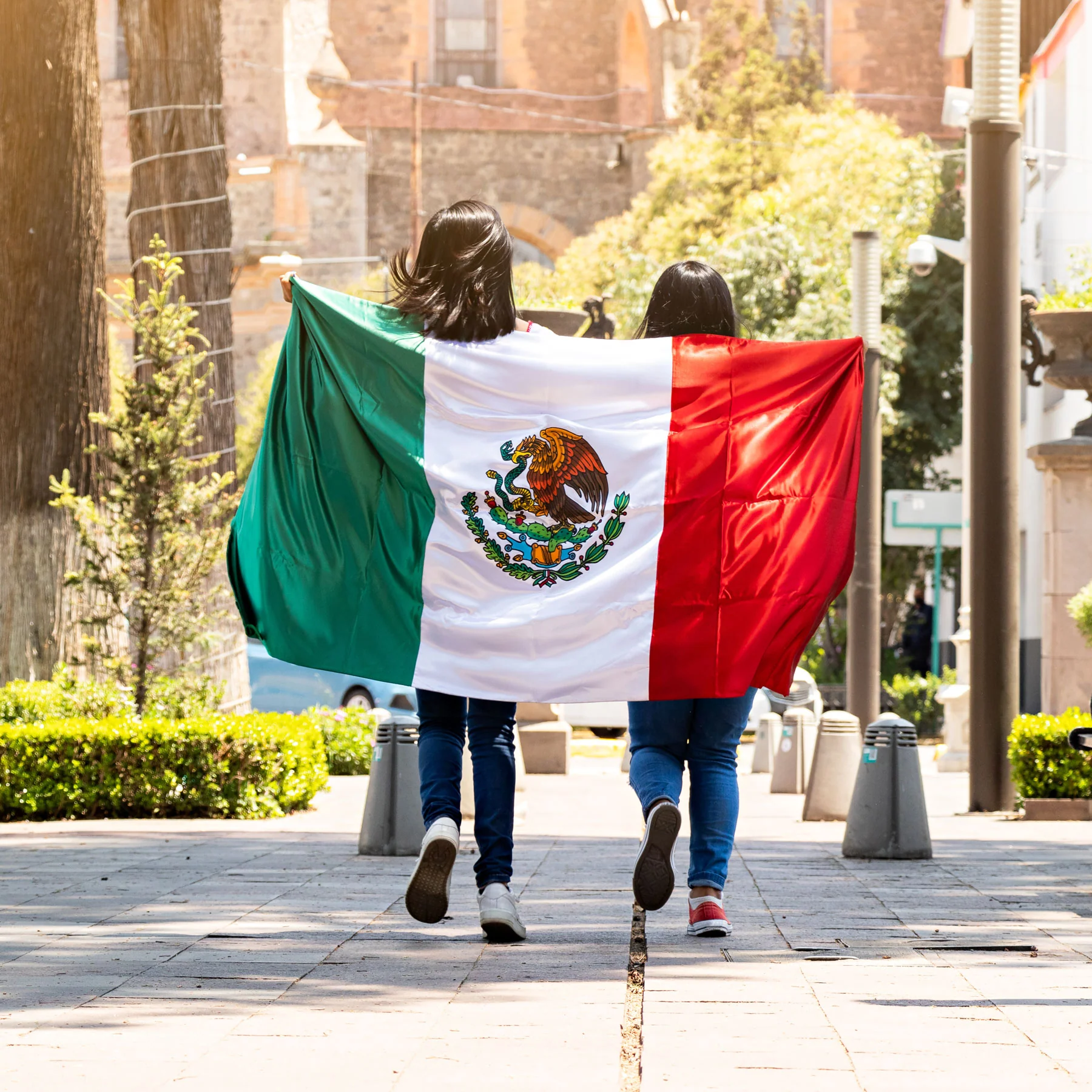 Mexico Flag - Image 3