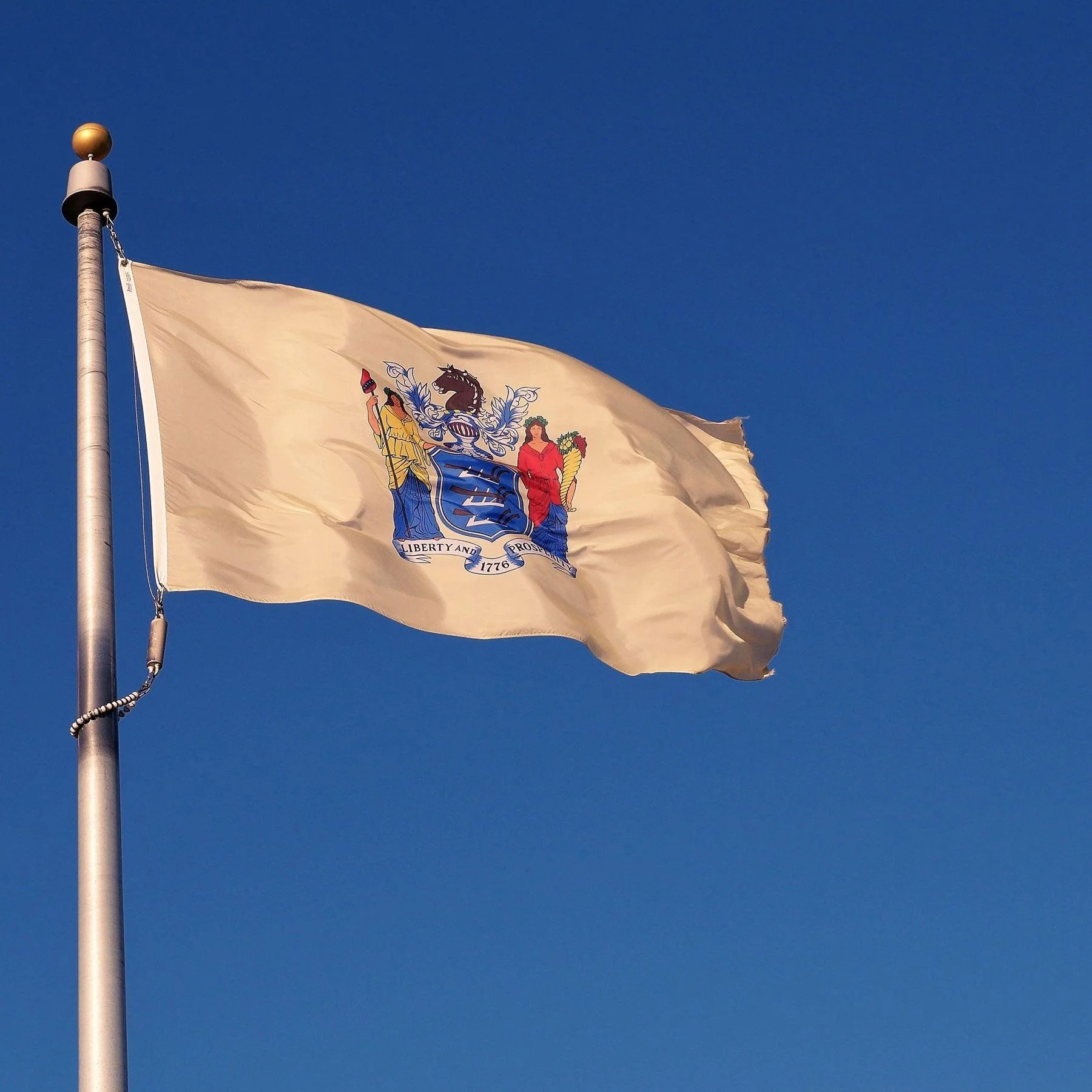 New Jersey State Flag Made in USA – Heavy Duty Nylon - Image 3