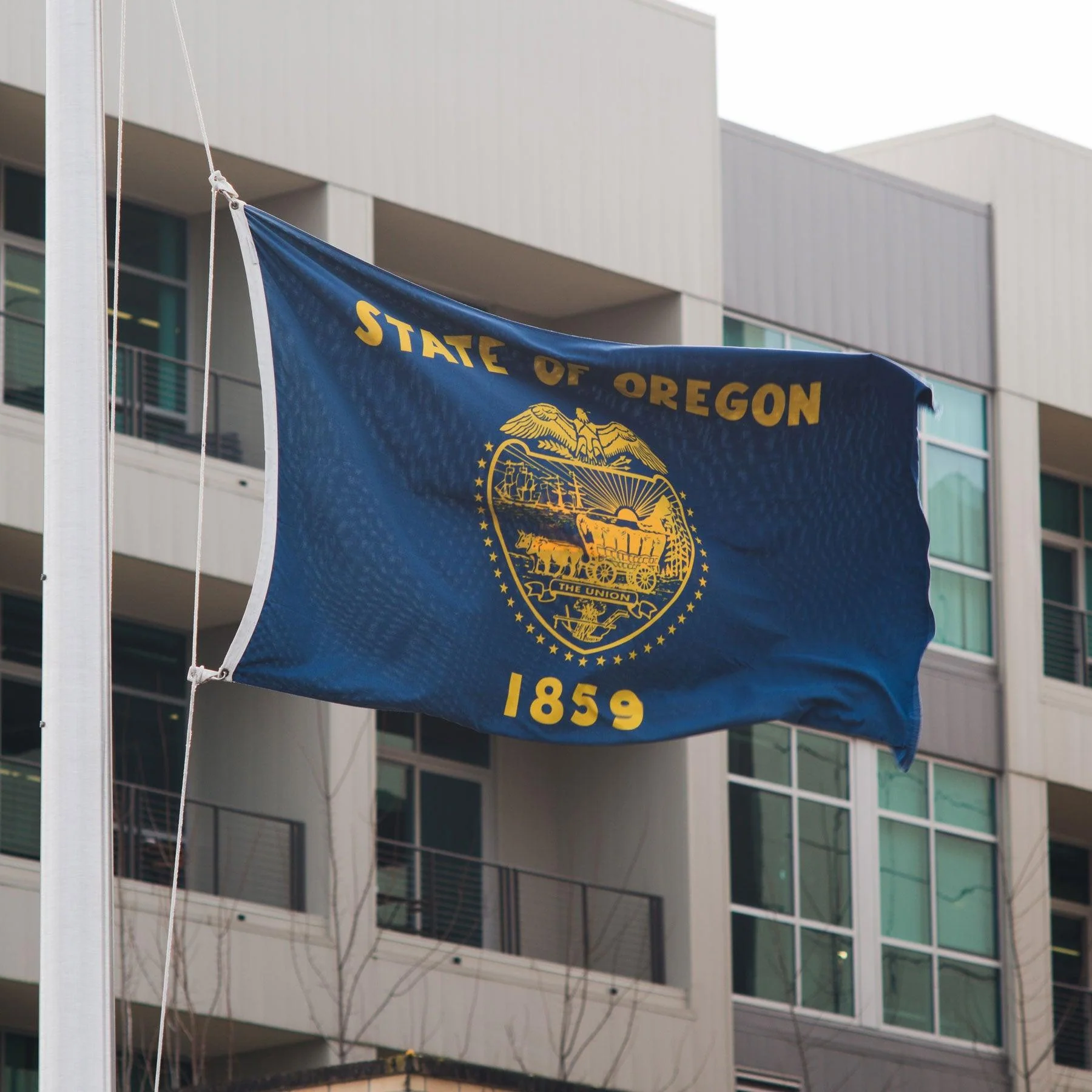 Oregon State Flag Made in USA – Authentic Double-Sided Design - Image 3