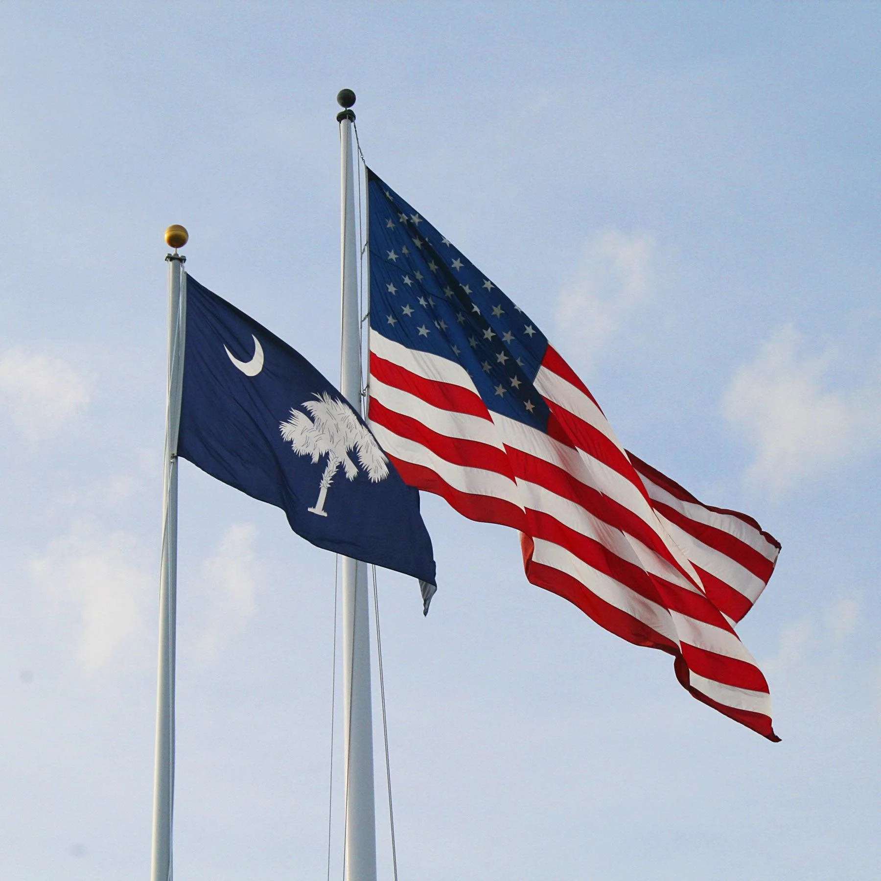 South Carolina State Flag Made in USA – Heavy Duty Nylon - Image 3